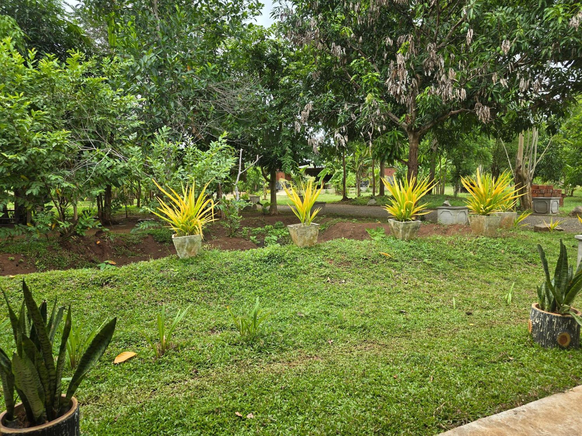 Ceylon Resort Wilpattu Exterior photo